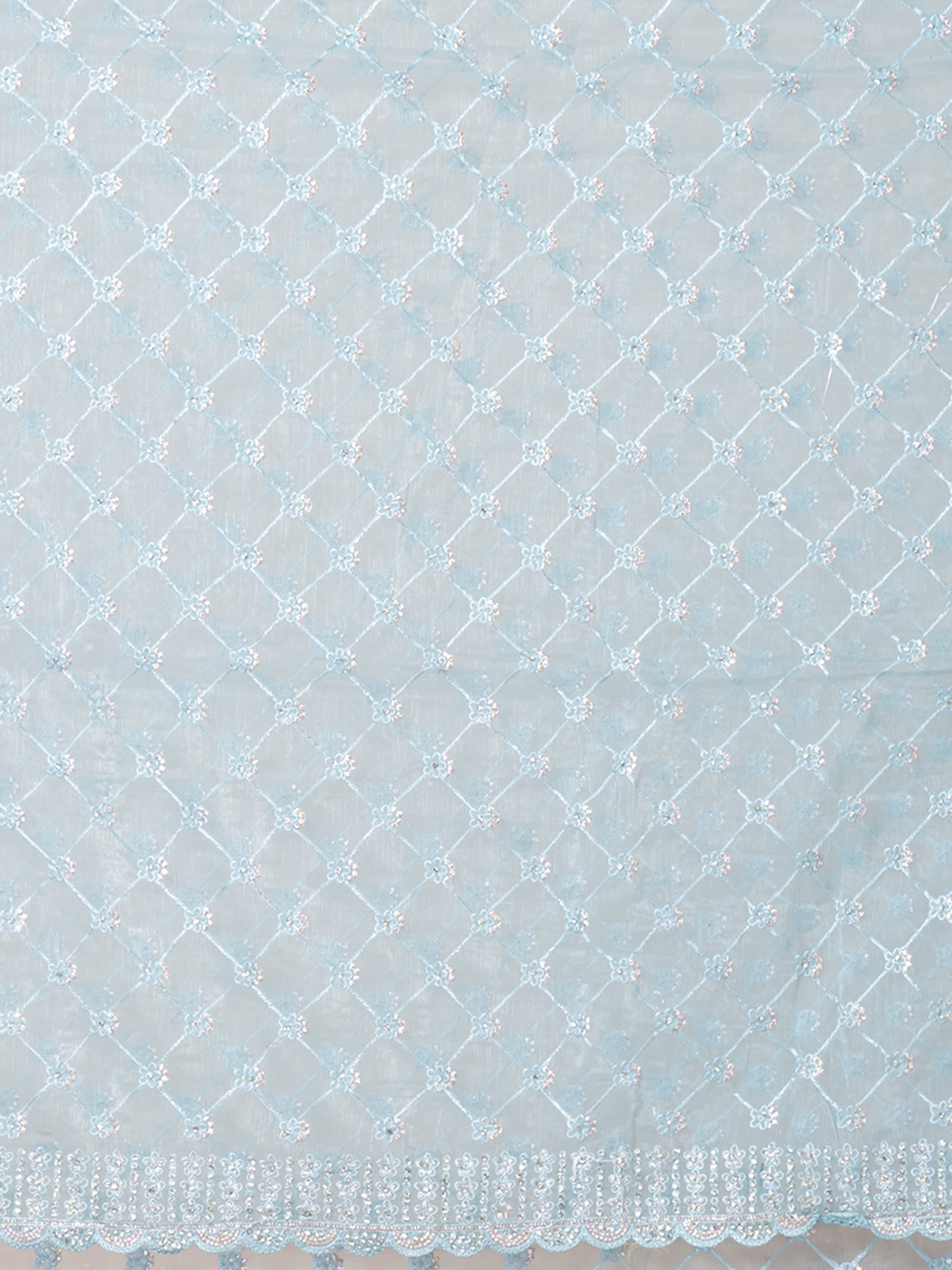 Elegant Sky Blue Net Saree with Embroidered Border