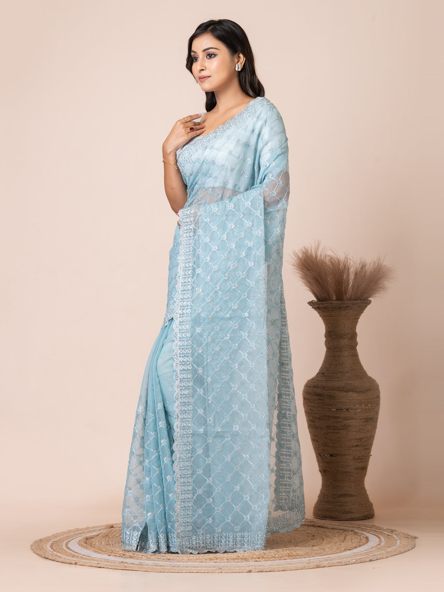 Elegant Sky Blue Net Saree with Embroidered Border